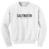 Saltwater Sweatshirt