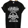 Expensive Accountant T-shirt