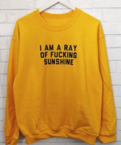 I Am A Ray Of Fucking Sunshine Sweatshirt
